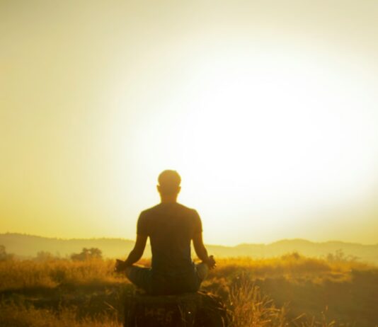 여름철 스트레스 해소법 man in black shirt sitting on brown grass during daytime