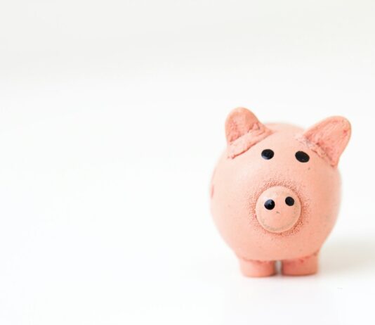 문자메시지로 ‘고향사랑기부금’ 모금 허용…21일부터 가능 pink pig figurine on white surface