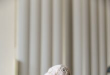 환절기 건강, 체온 관리가 핵심이다 white textile on white window blinds