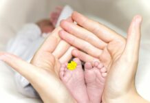 난임부부 시술비 출산당 25회로 확대 person holding baby's toe with yellow petaled flower in between