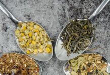 소화불량, 자연스럽게 개선하기 seven different spices and herbs on gray stainless steel spoons