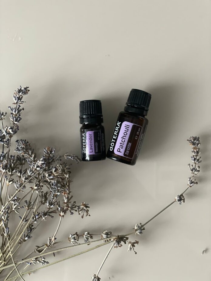 Photo by Hanna Lesnaya two bottles of essential oils sitting next to a plant