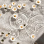 내 삶에 스며드는 웰니스 문화, 실천하는 일상 속 작은 변화들 white and blue floral textile